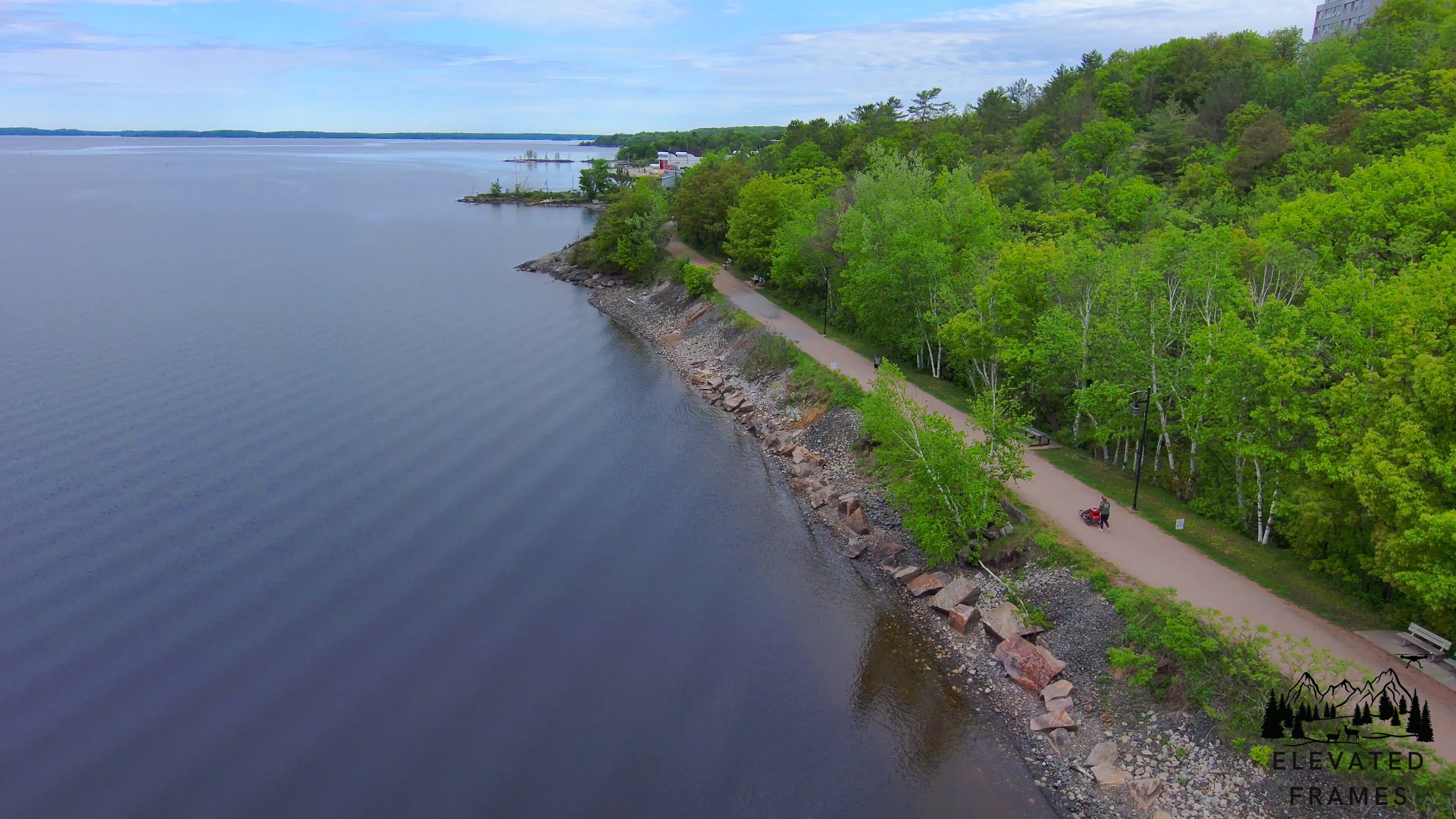 Summer fitness trail through the woods