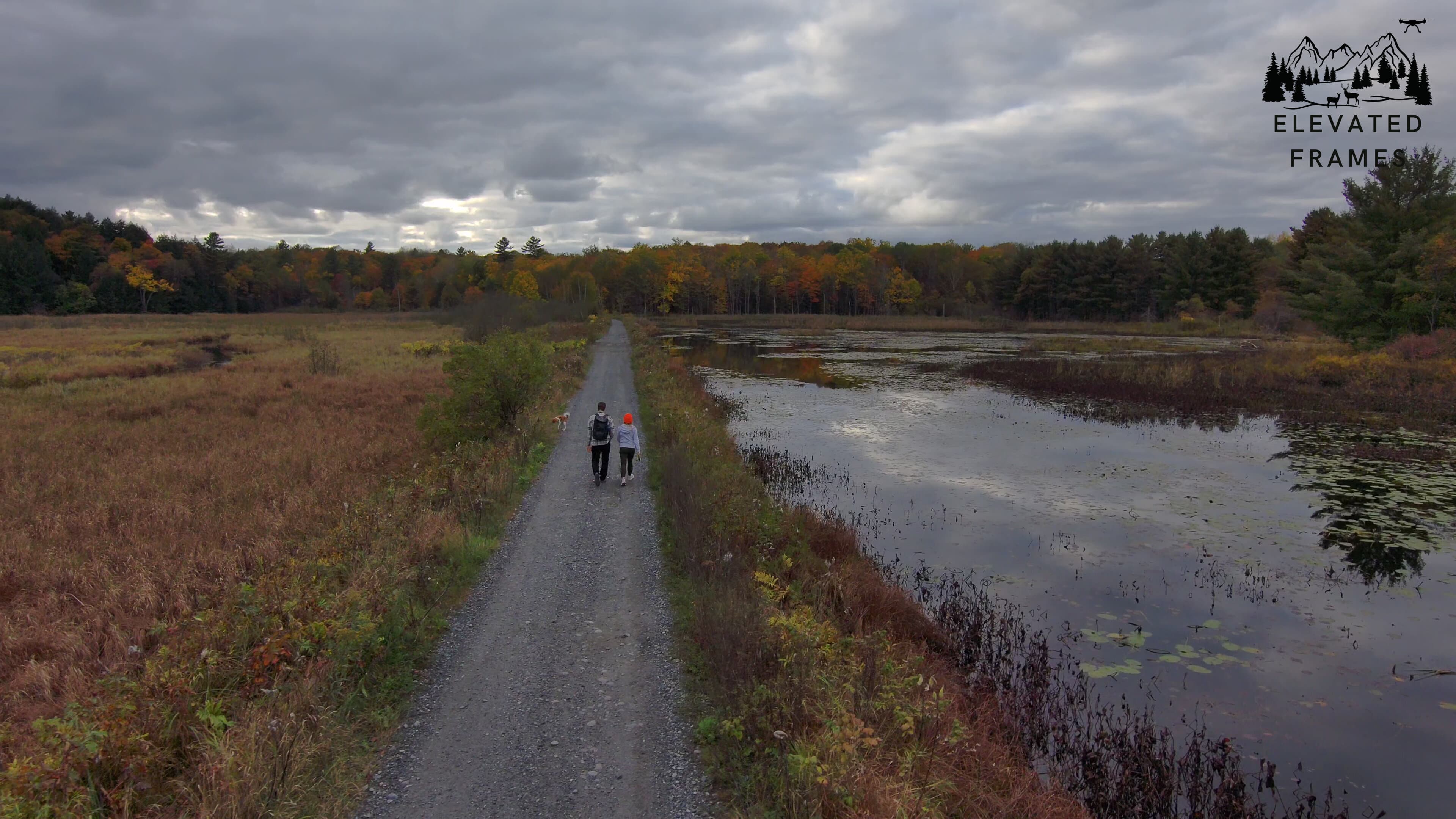 Aerial perspective of a wooded fitness trail